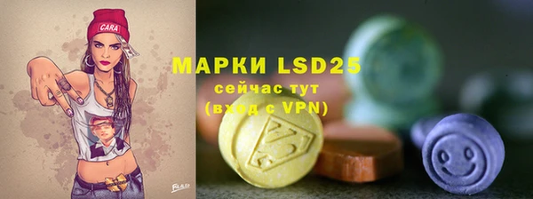крисы Алзамай