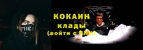 гидра Алексин
