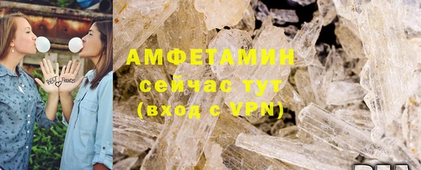 гидра Алексин
