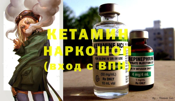 крисы Алзамай