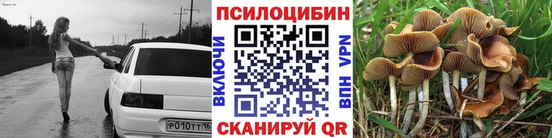 Галлюциногенные грибы мухоморы  что такое наркотик  Андреаполь 
